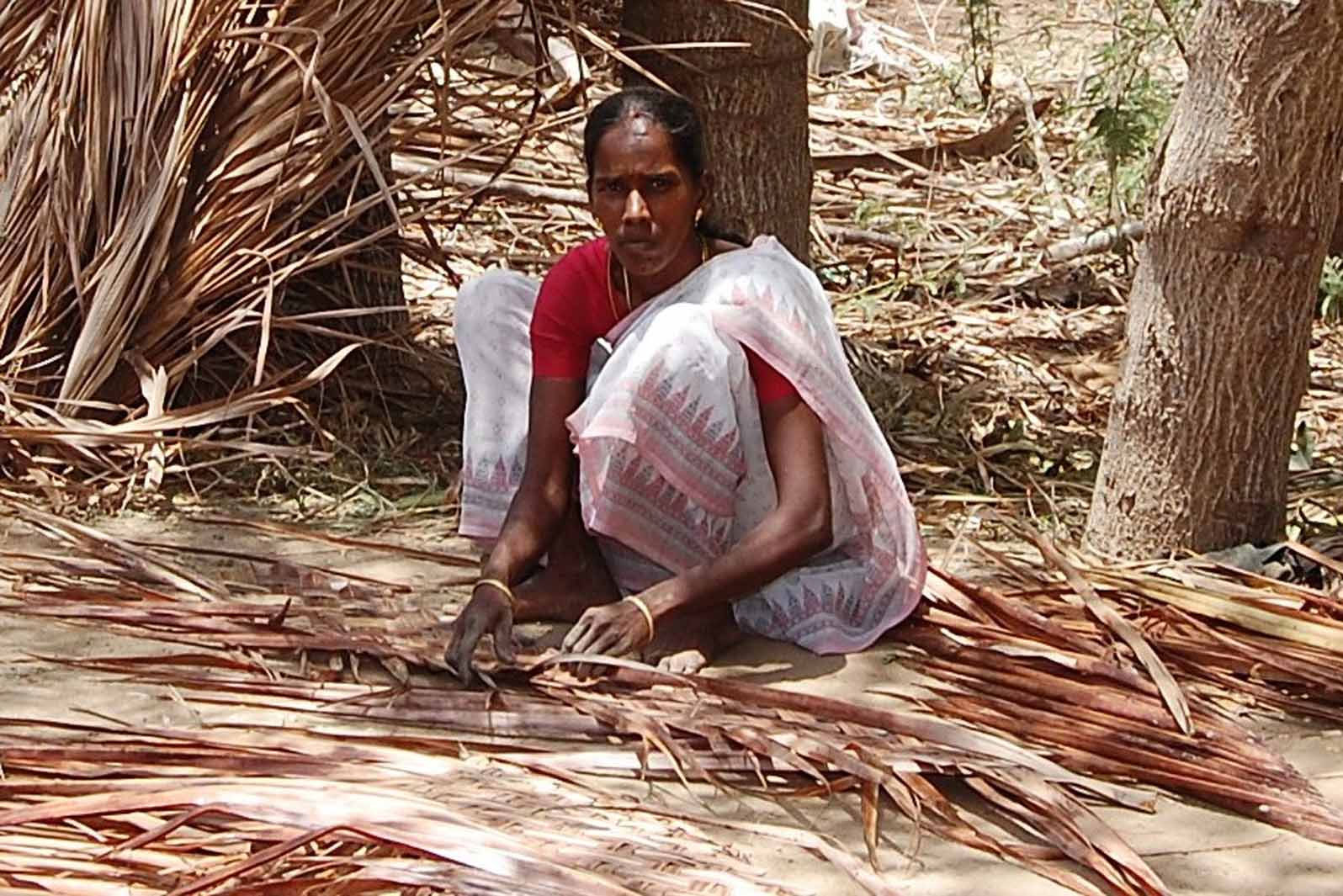 Mrs.D. Vijayalakshmi - Ulunthankudi Village