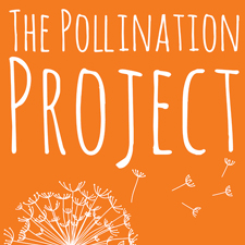 The Pollination Project